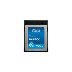 Transcend - flash memory card - 4 GB - microSDHC - TS4GUSDC4 - Memory Cards  