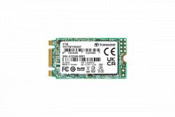 TRANSCEND TS256GMTS560T-I